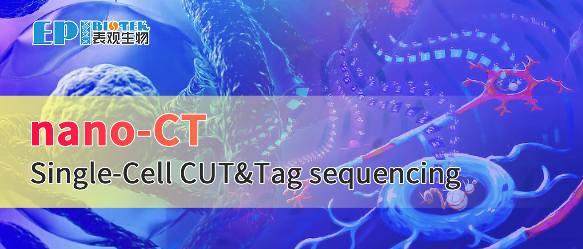Single-Cell CUT&Tag sequencing图