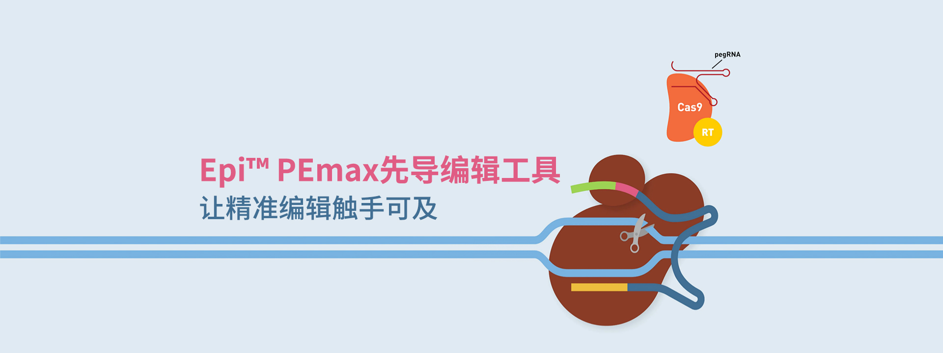 广州表观生物科技有限公司-69-1轮播图