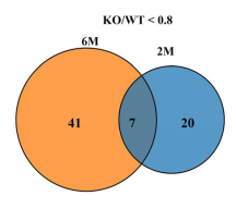 广州表观生物科技有限公司