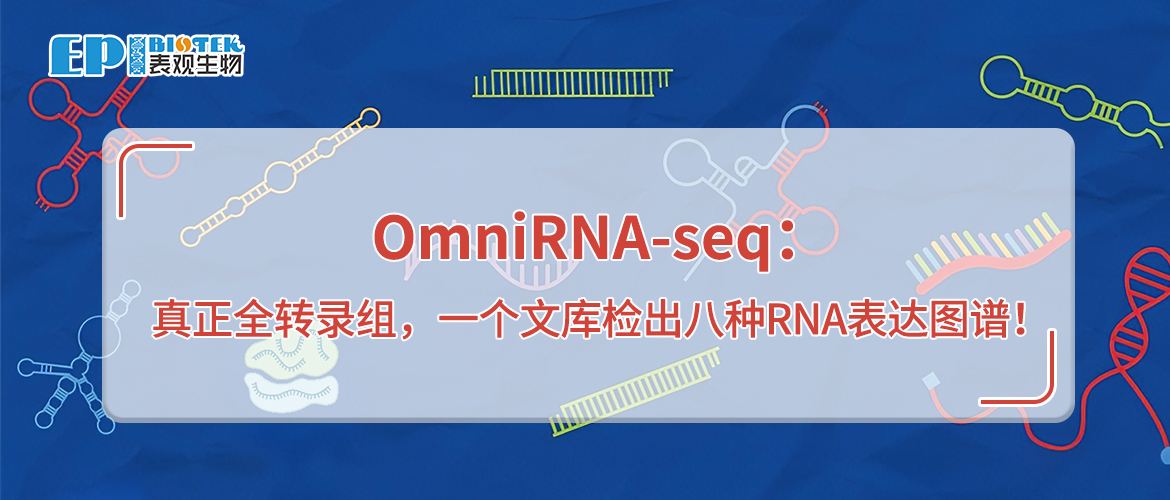 OmniRNA-seq：真正全转录组，一个文库检出八种RNA表达图谱！图