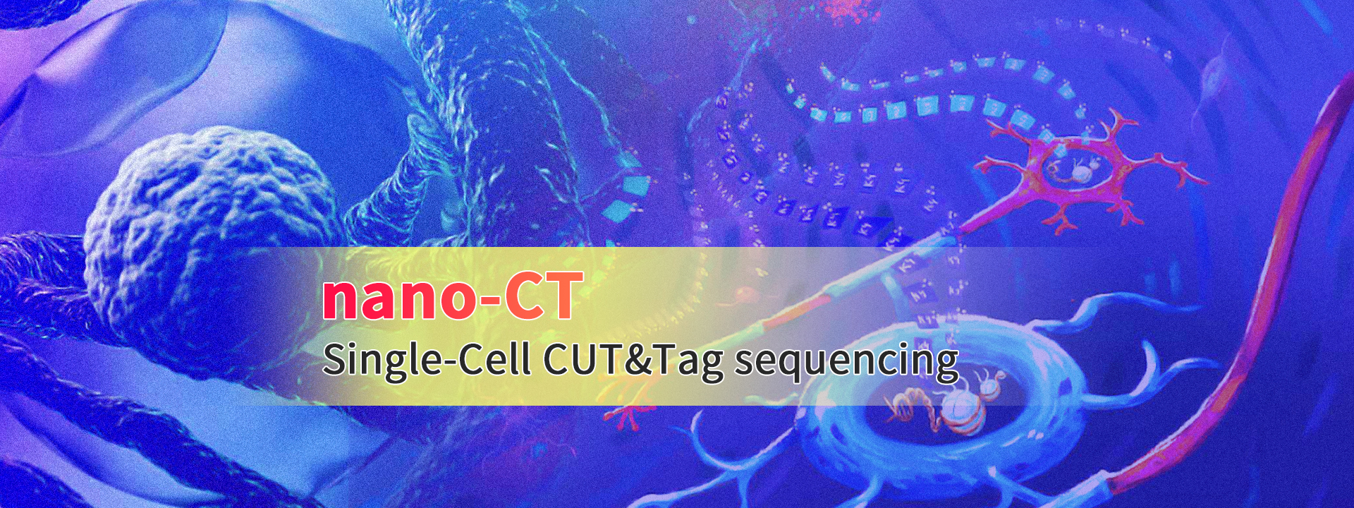 Guangzhou EPIBIOTEK Co., Ltd.-834-7轮播图