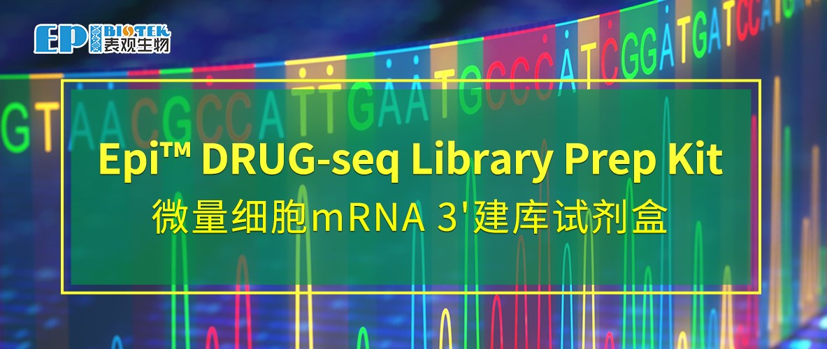 DRUG-seq建库试剂盒，药物筛选利器图