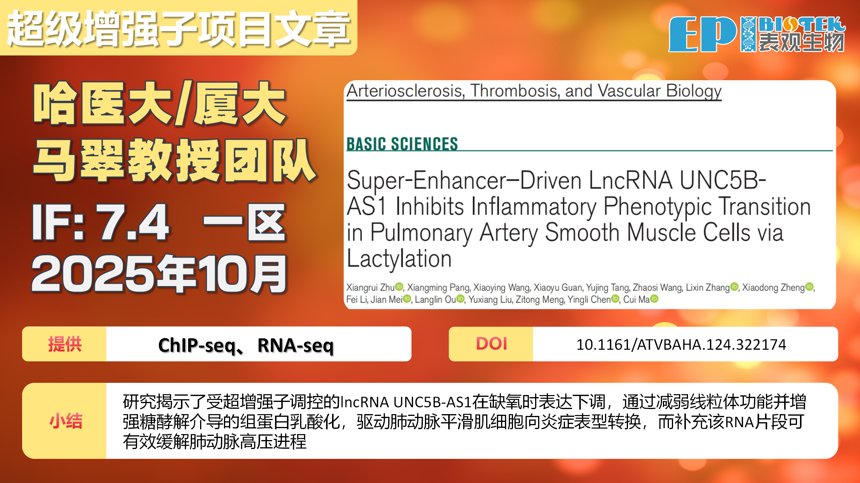 超级增强子项目 | SE驱动的lncRNA UNC5B-AS1通过调控乳酸化抑制肺动脉平滑肌细胞炎症表型转换图