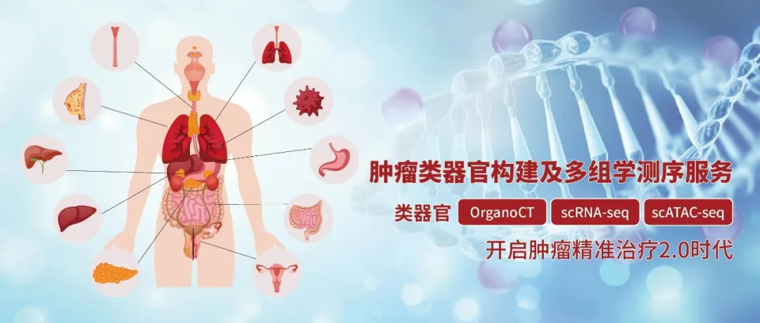 肿瘤类器官构建及多组学测序服务图