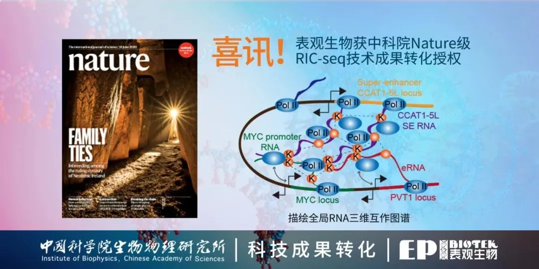 RNA与RNA相互作用 RIC-seq图