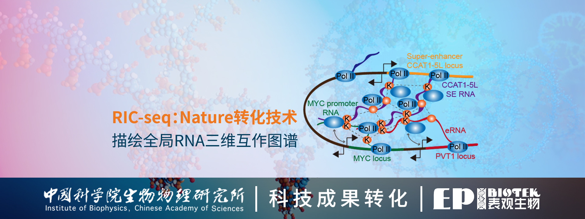 广州表观生物科技有限公司-69-13轮播图