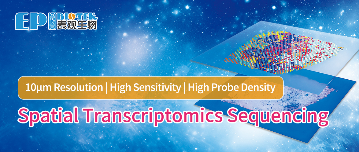 Spatial Transcriptomics Sequencing图