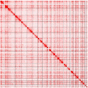 Guangzhou EPIBIOTEK Co., Ltd.