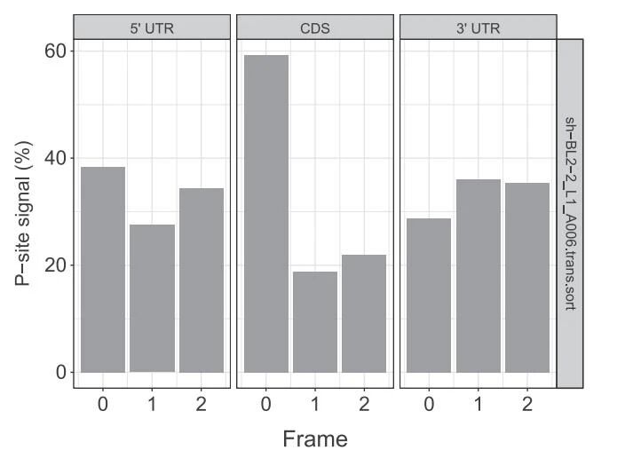 Guangzhou EPIBIOTEK Co., Ltd.