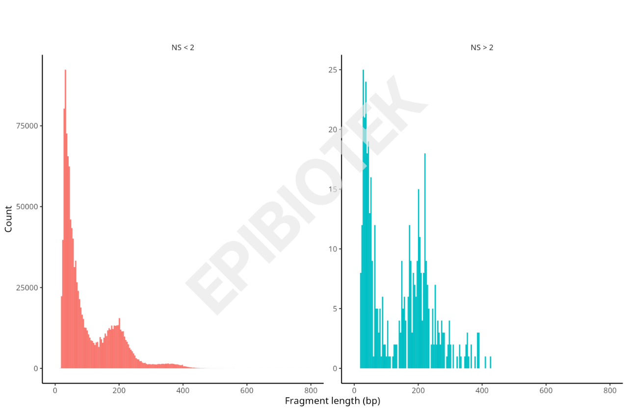 Guangzhou EPIBIOTEK Co., Ltd.
