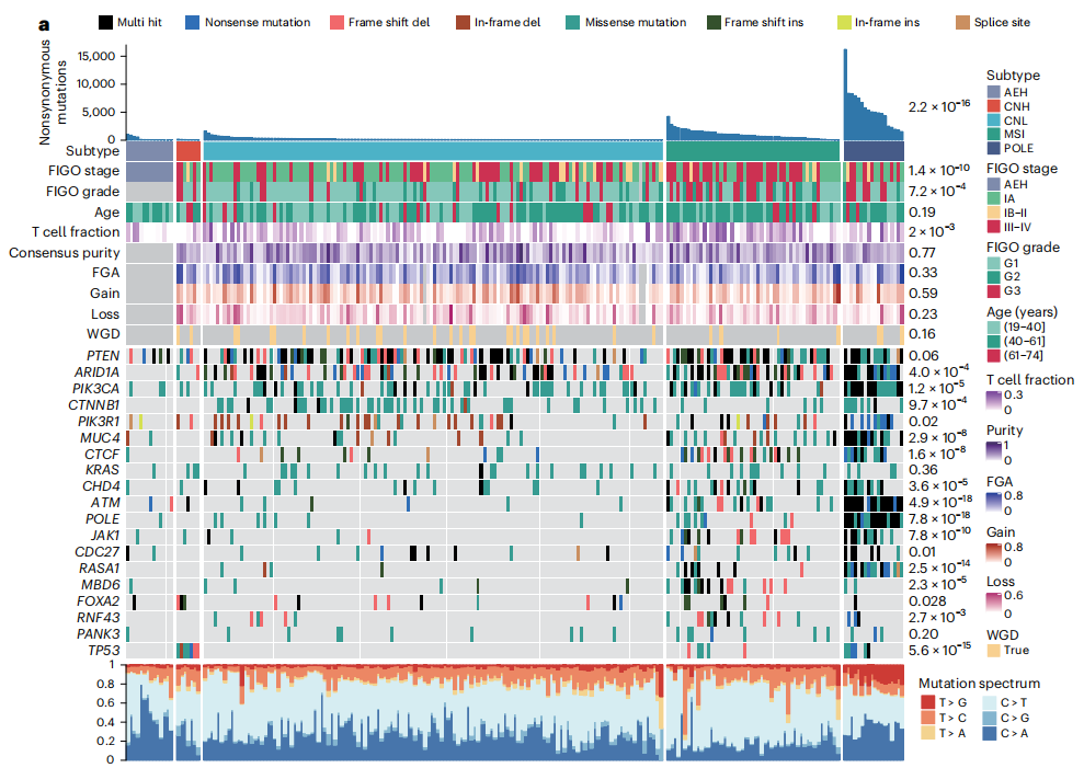 2. Nat Genet：Proteogenomic landscape of early-onset endometrial cancer reveals molecular features and predictive biomarkers for fertility-sparing therapy (2)