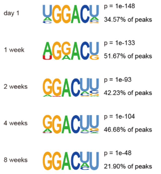 Guangzhou EPIBIOTEK Co., Ltd.