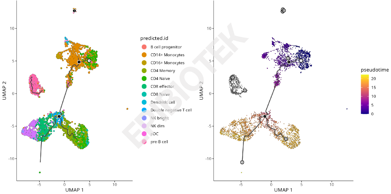Guangzhou EPIBIOTEK Co., Ltd.