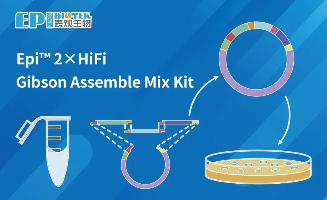 Gibson无缝连接试剂盒：Epi™ 2×HiFi Gibson Assemble Mix Kit图