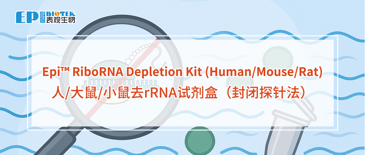 人/大鼠/小鼠去rRNA试剂盒（封闭探针法）：Epi™ RiboRNA Depletion Kit图