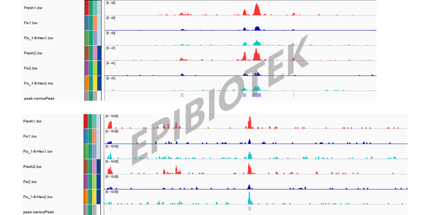 Guangzhou EPIBIOTEK Co., Ltd.