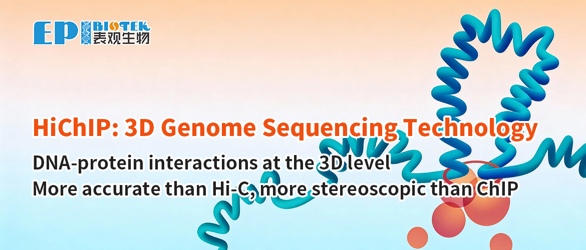 HiChIP: Chromatin Conformation Sequencing Technology图
