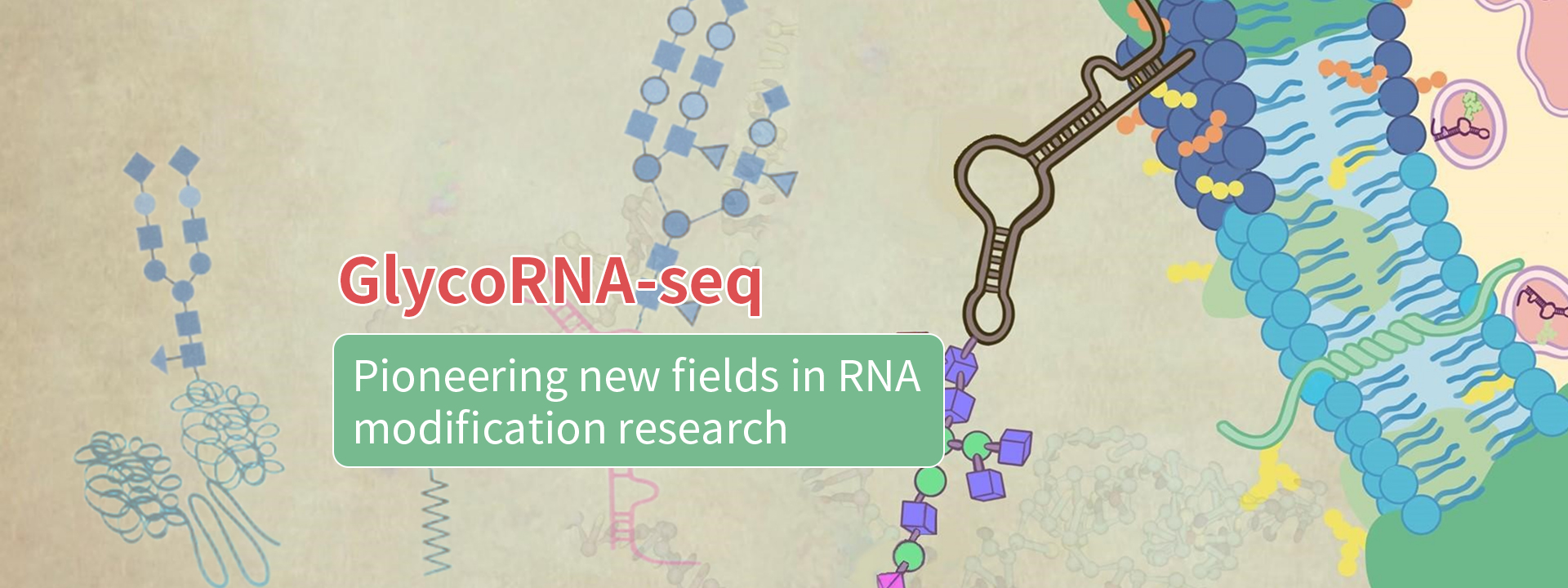 Guangzhou EPIBIOTEK Co., Ltd.-834-4轮播图