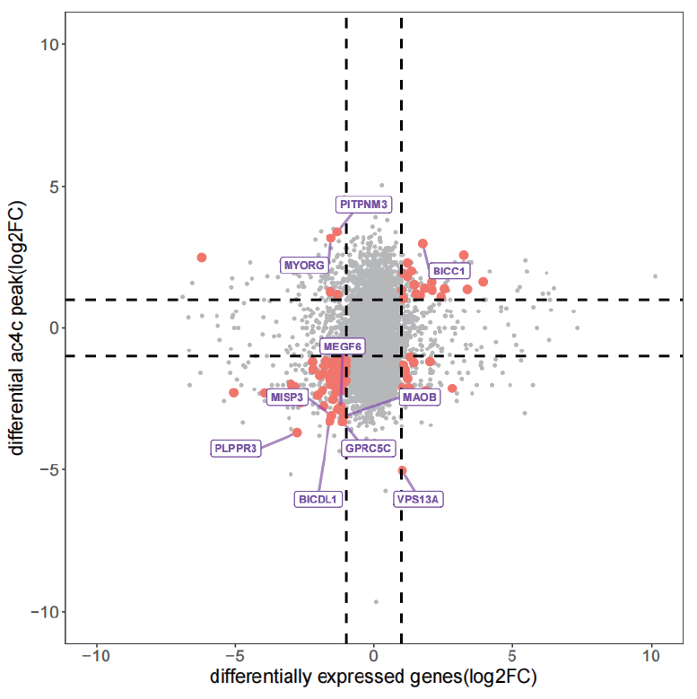 广州表观生物科技有限公司