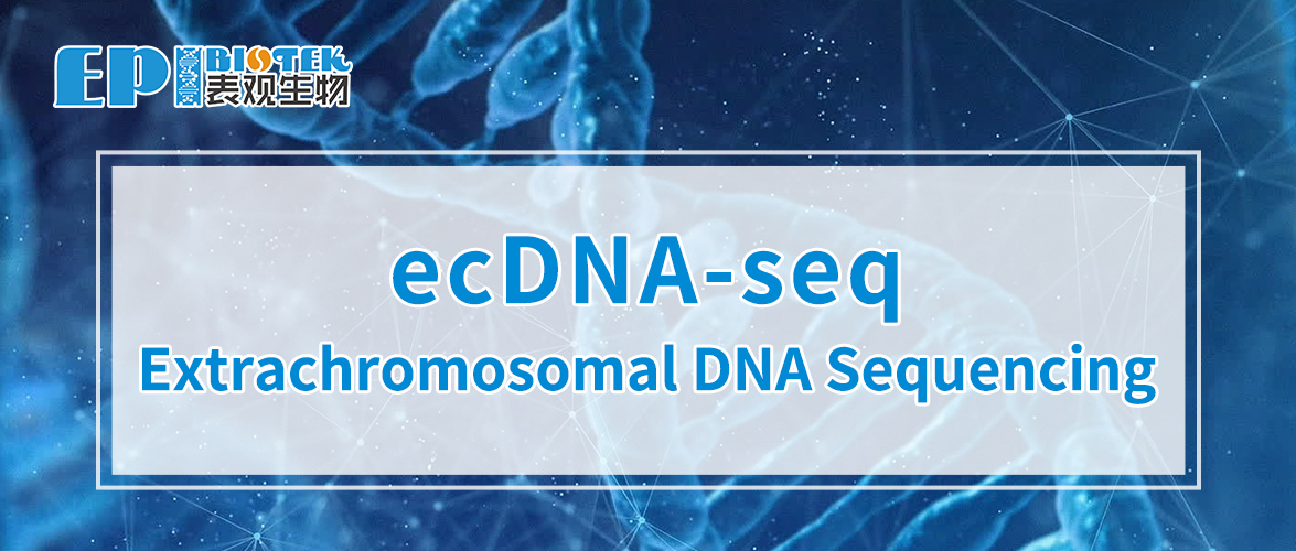 ecDNA-seq图