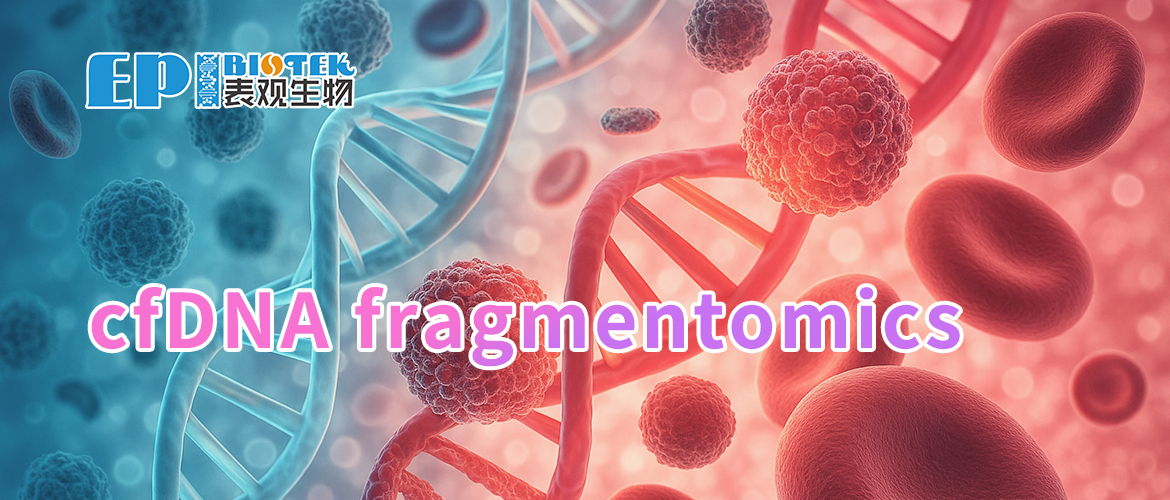 cfDNA fragmentomics图