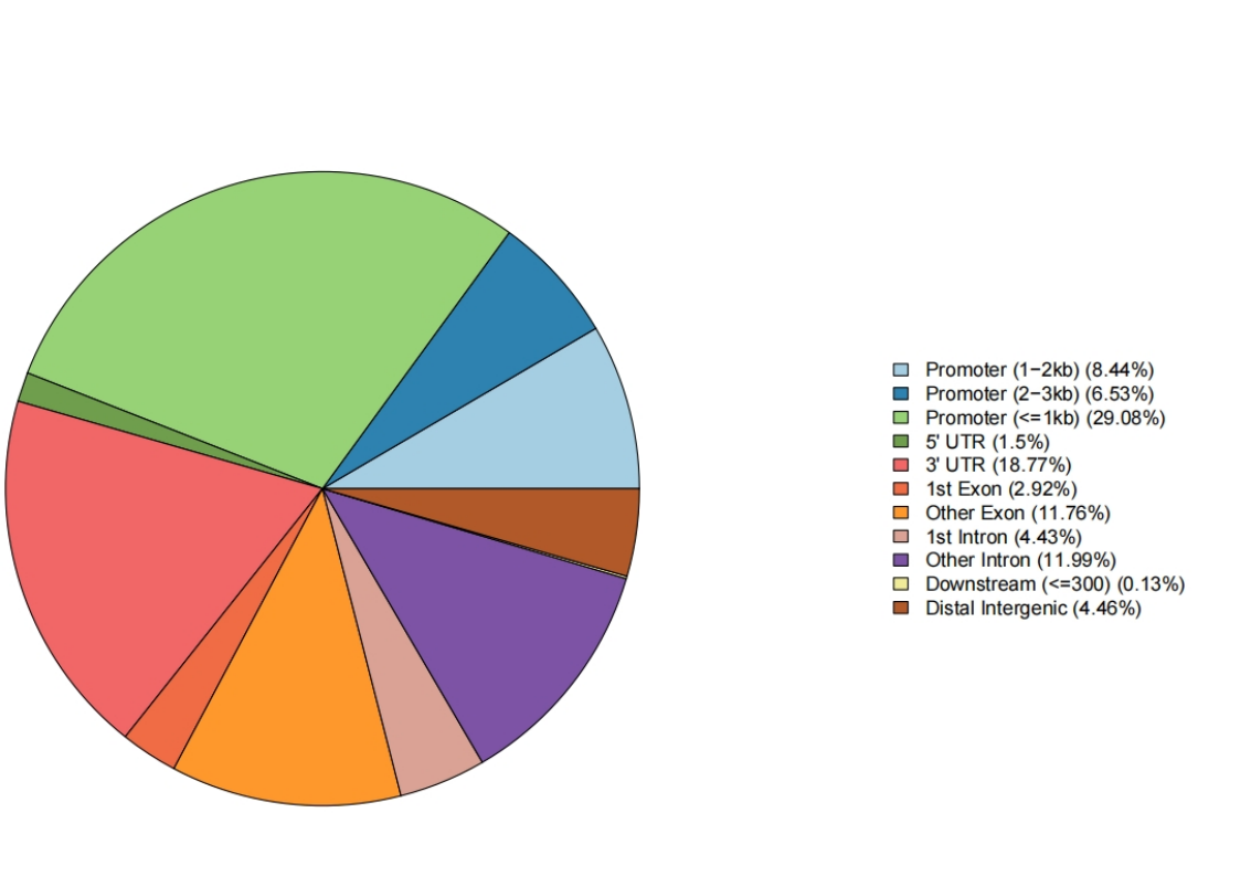 Guangzhou EPIBIOTEK Co., Ltd.