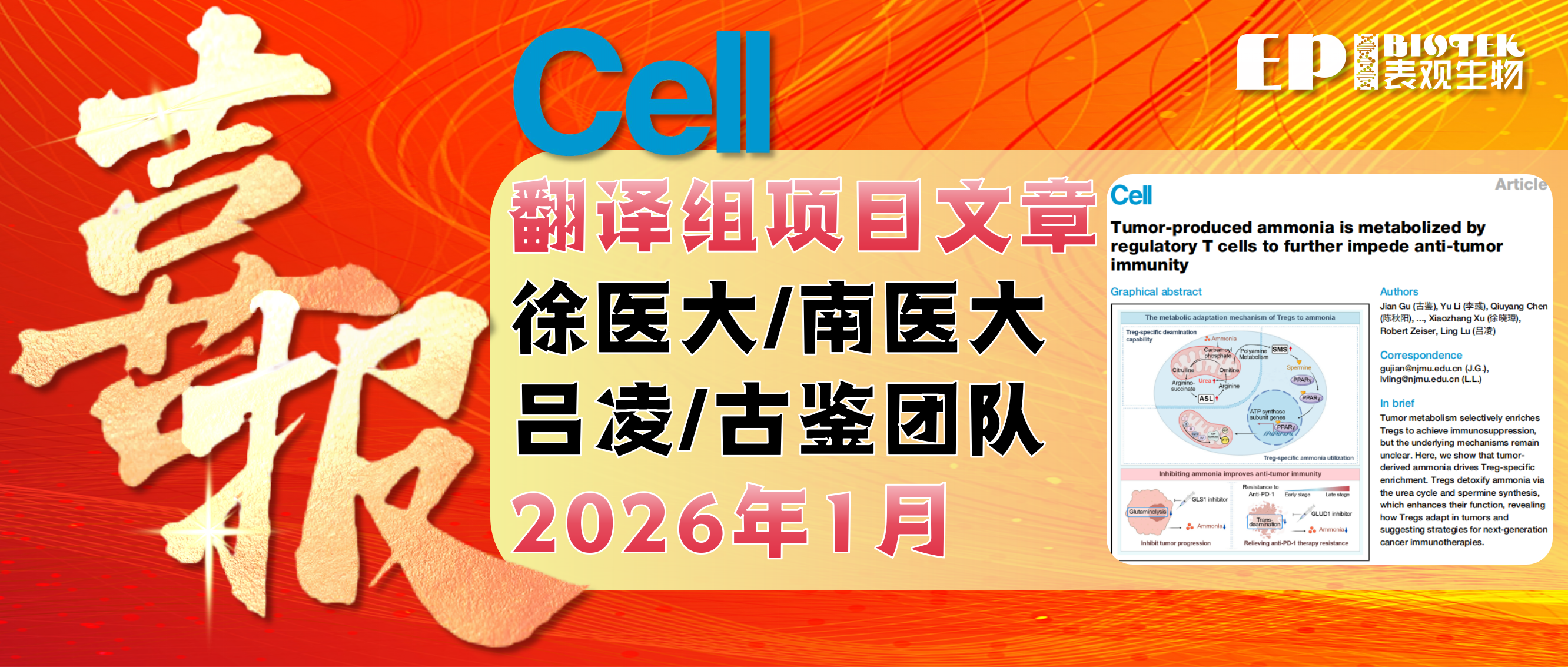 项目文章 | Cell：徐医大首篇，吕凌教授团队发现肿瘤产生的氨通过调节性T细胞代谢导致免疫抑制和治疗耐药图