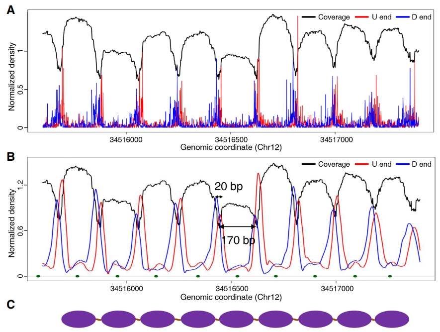 Guangzhou EPIBIOTEK Co., Ltd.