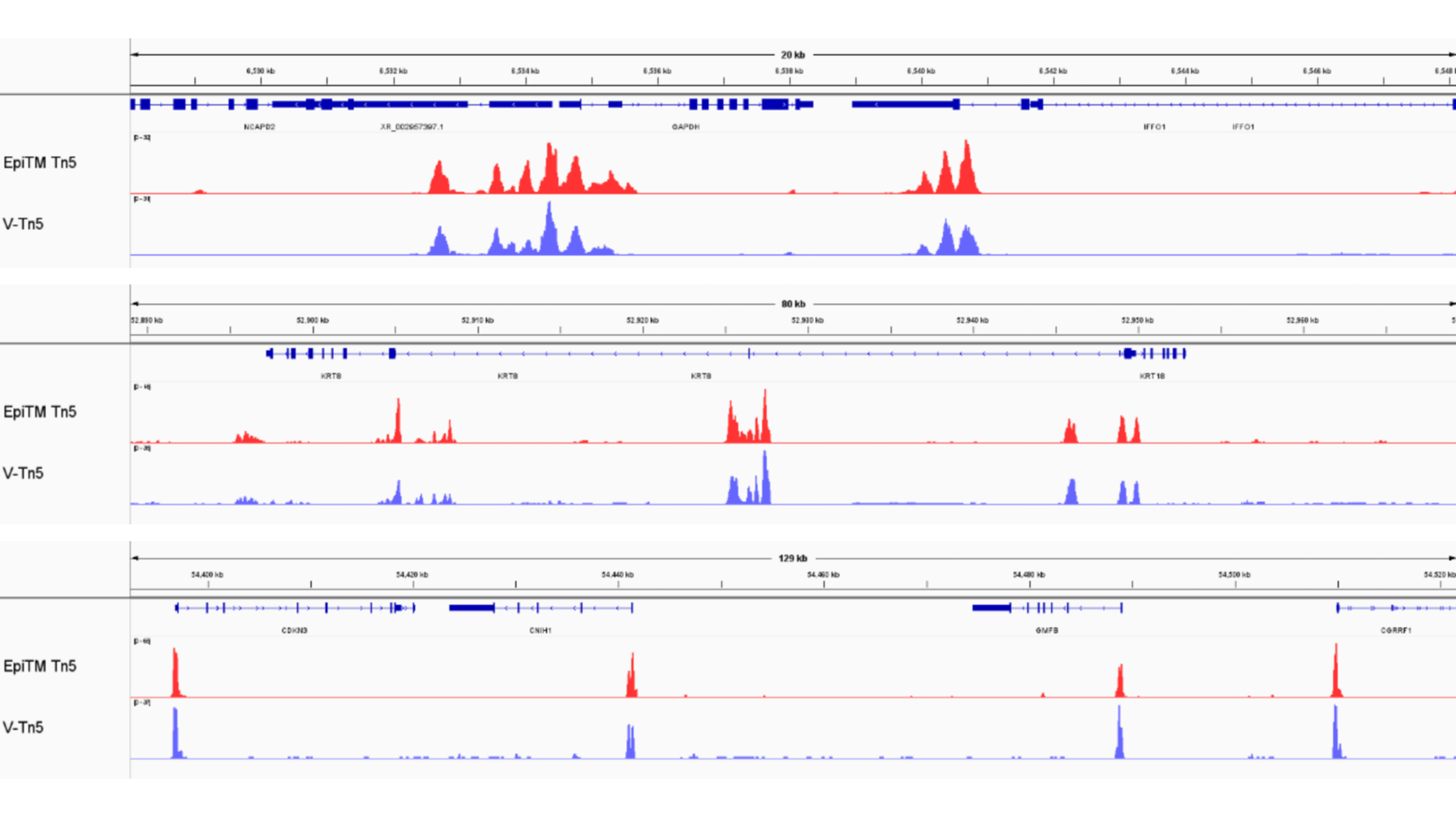 Guangzhou EPIBIOTEK Co., Ltd.