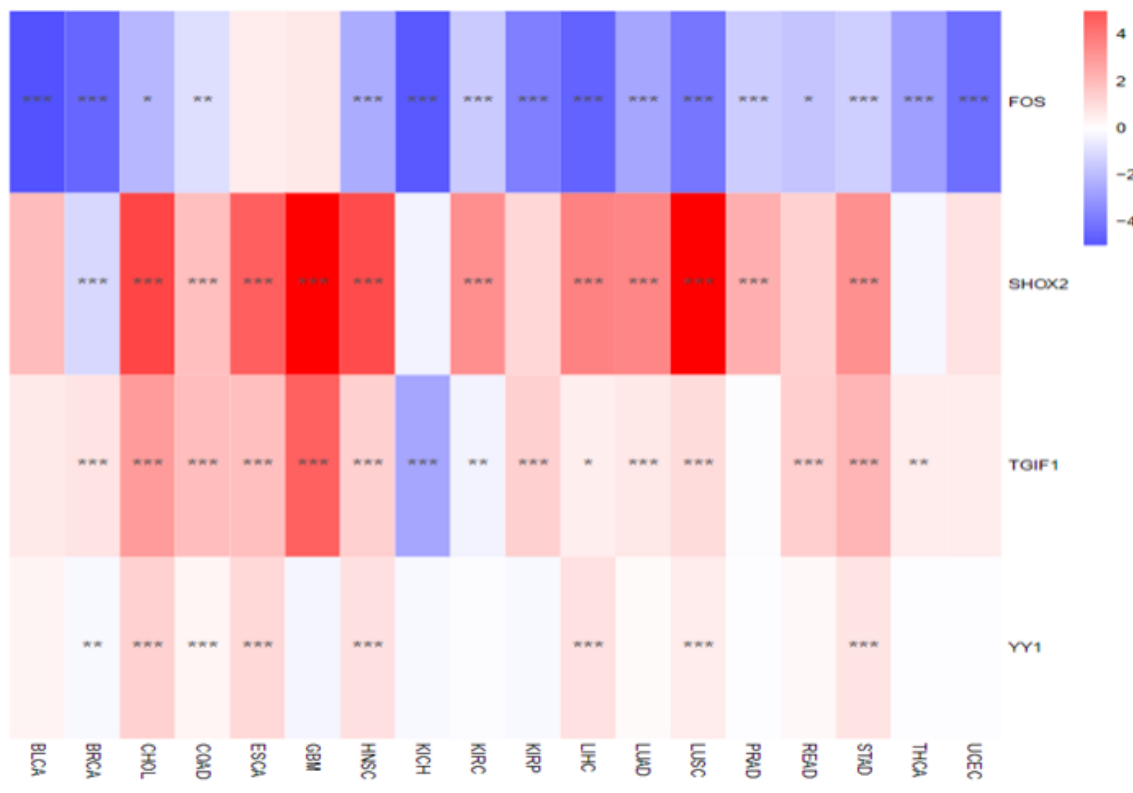 Guangzhou EPIBIOTEK Co., Ltd.