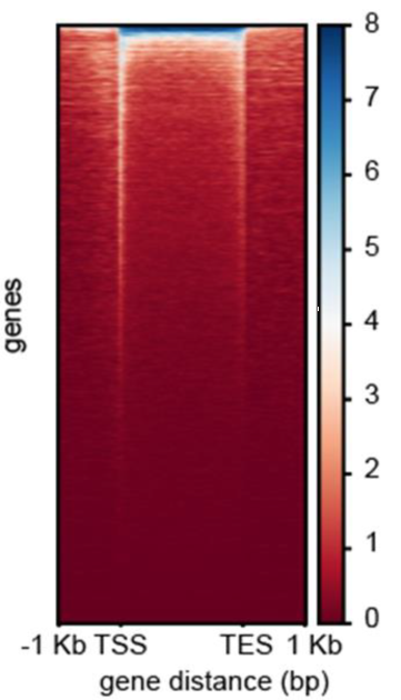 Guangzhou EPIBIOTEK Co., Ltd.