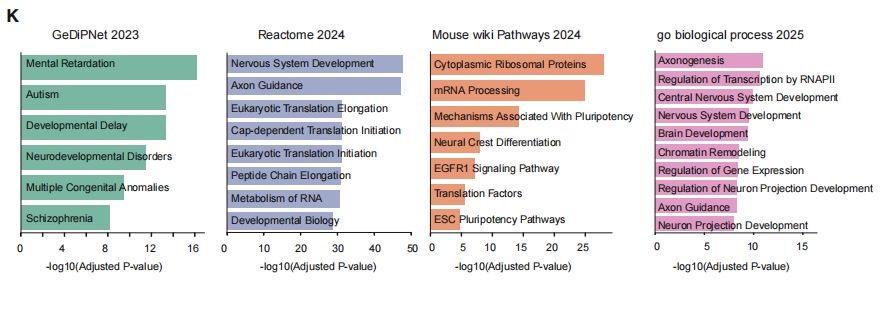 广州表观生物科技有限公司