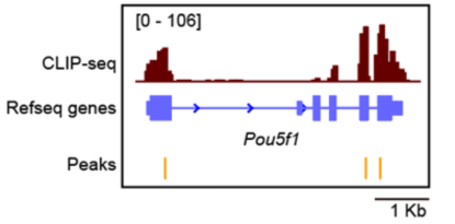 Guangzhou EPIBIOTEK Co., Ltd.