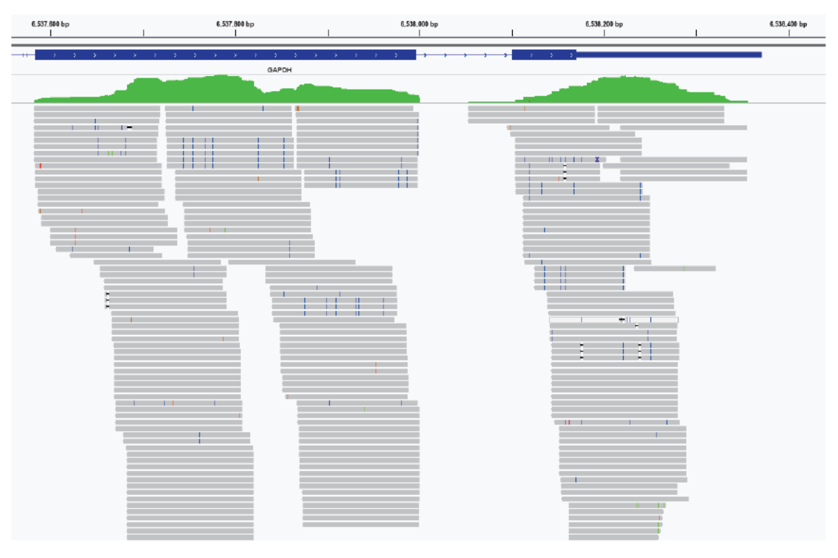 广州表观生物科技有限公司