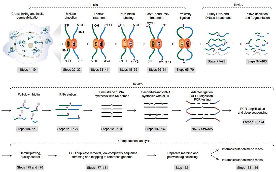 Guangzhou EPIBIOTEK Co., Ltd.