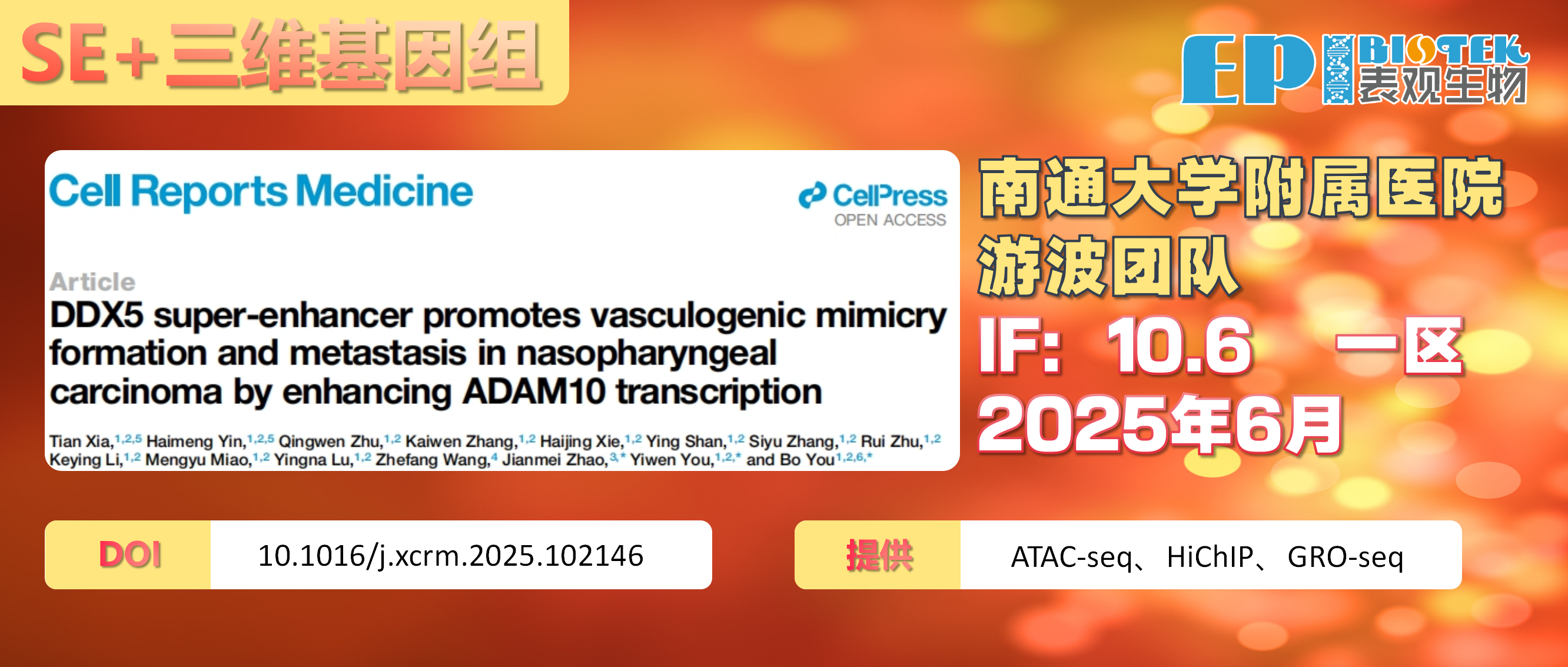 Cell Rep Med | DDX5超级增强子驱动鼻咽癌血管生成拟态形成:揭示抗血管生成治疗耐药新机制图