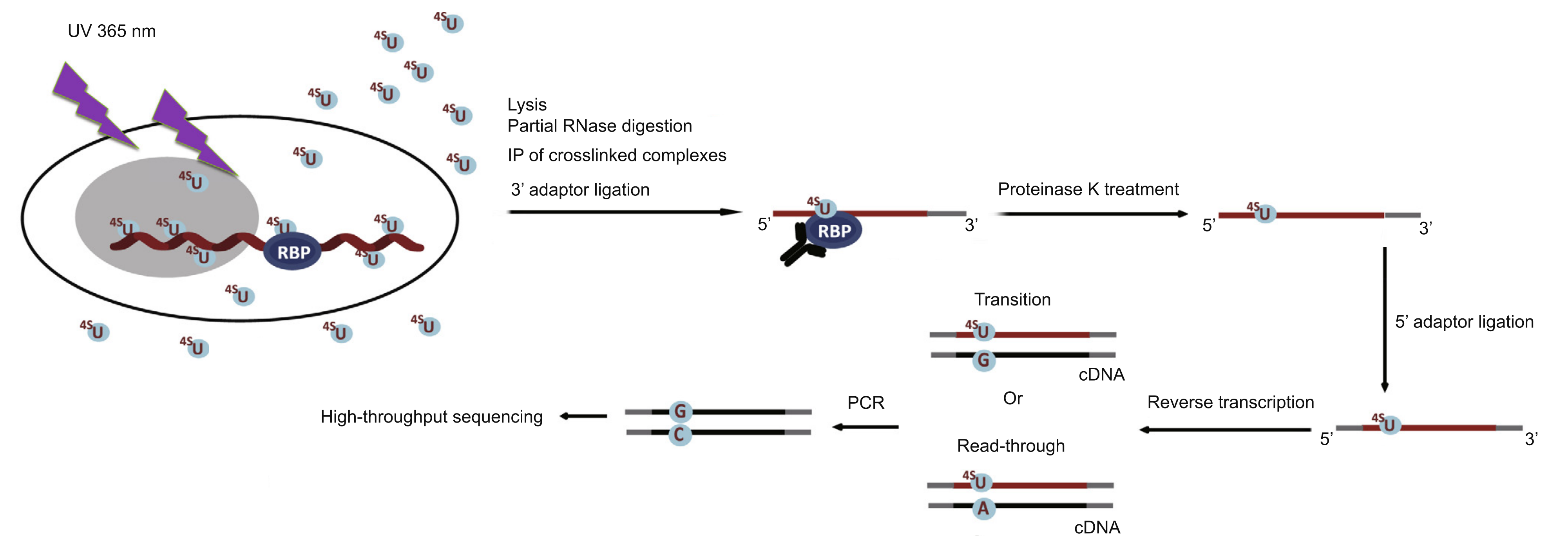 Technical Principles