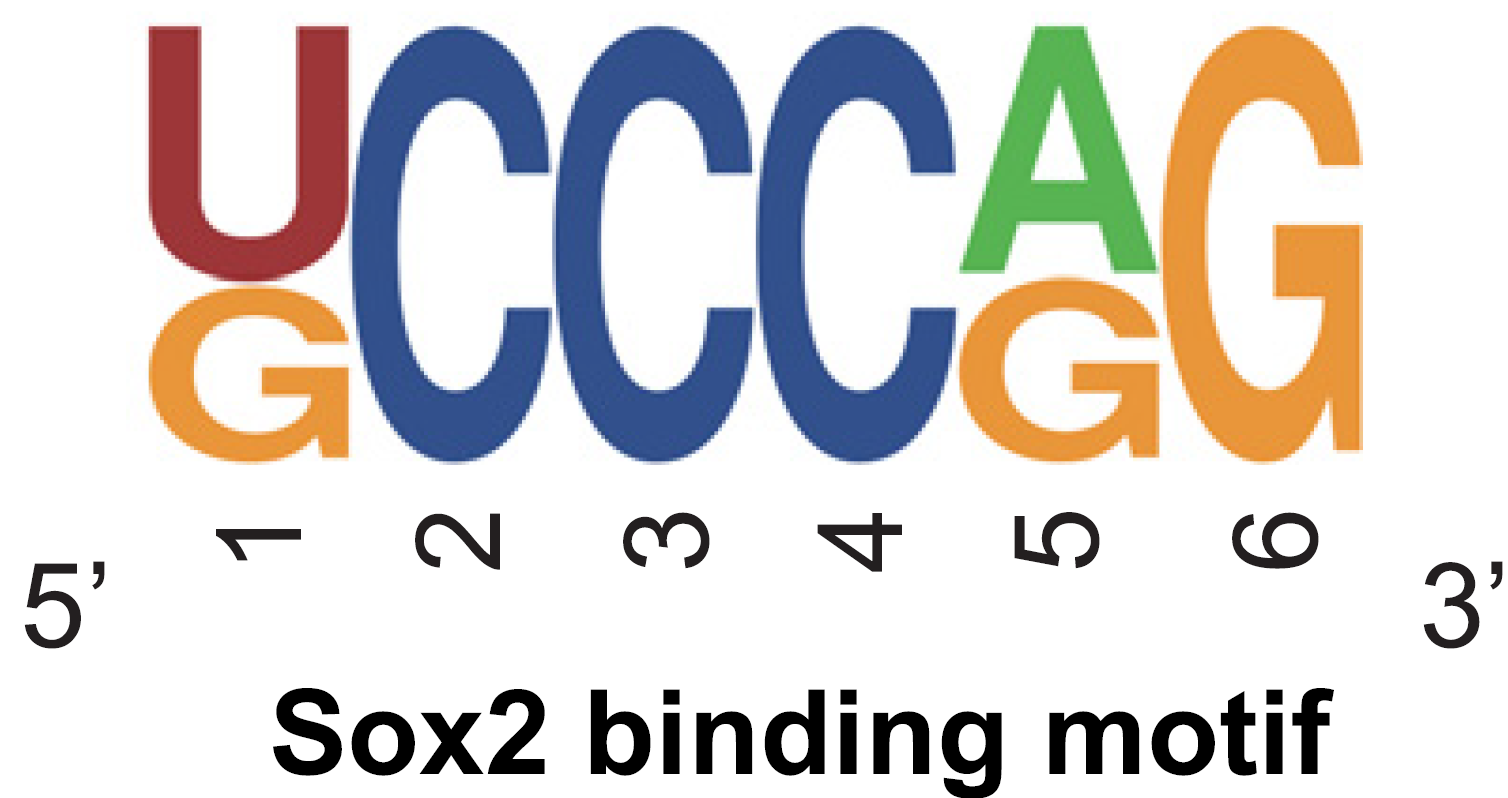 Guangzhou EPIBIOTEK Co., Ltd.