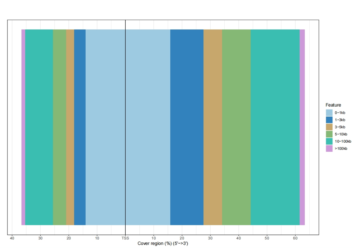 广州表观生物科技有限公司