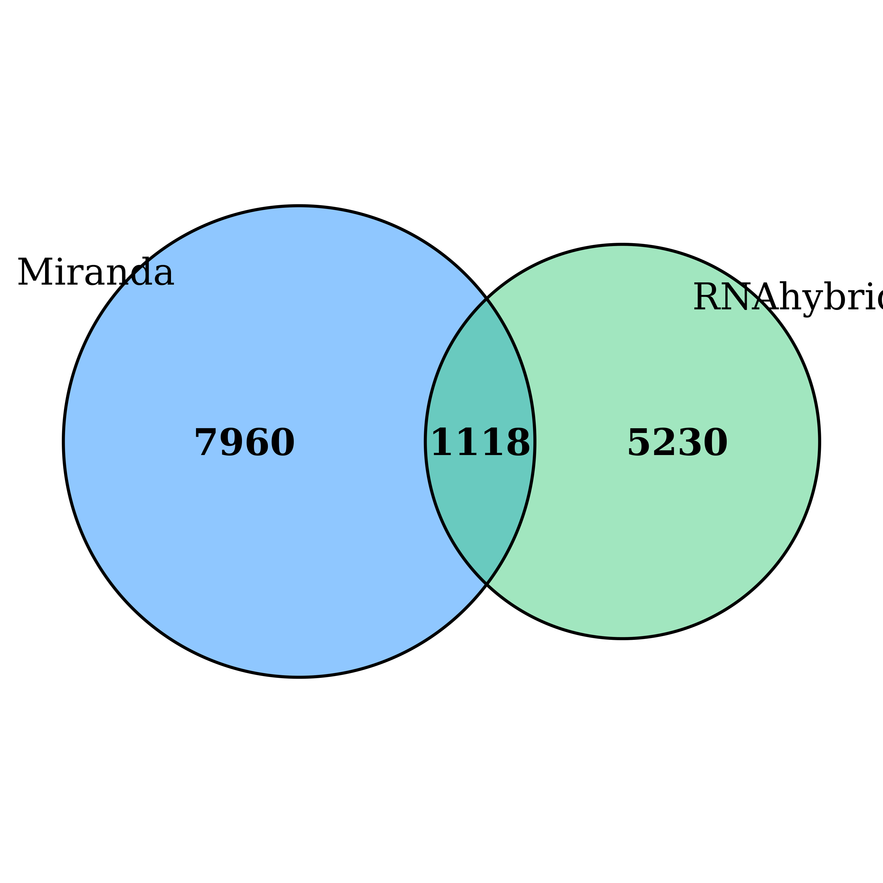 Guangzhou EPIBIOTEK Co., Ltd.