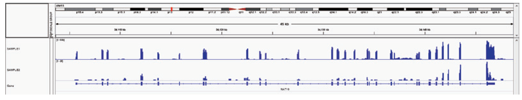Guangzhou EPIBIOTEK Co., Ltd.