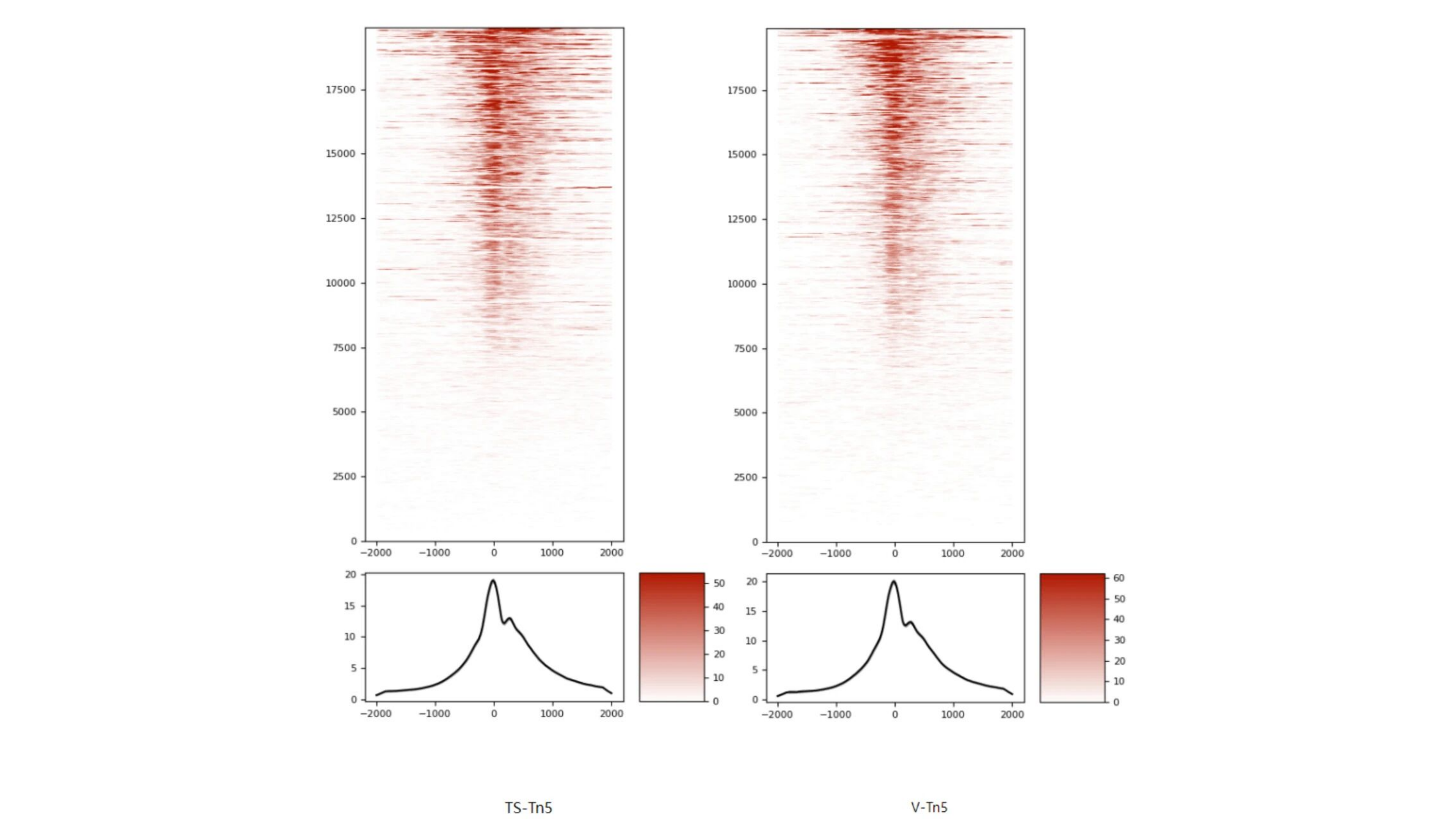 广州表观生物科技有限公司
