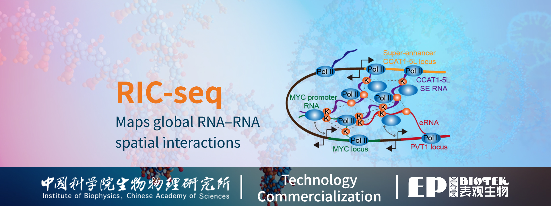 Guangzhou EPIBIOTEK Co., Ltd.-834-2轮播图