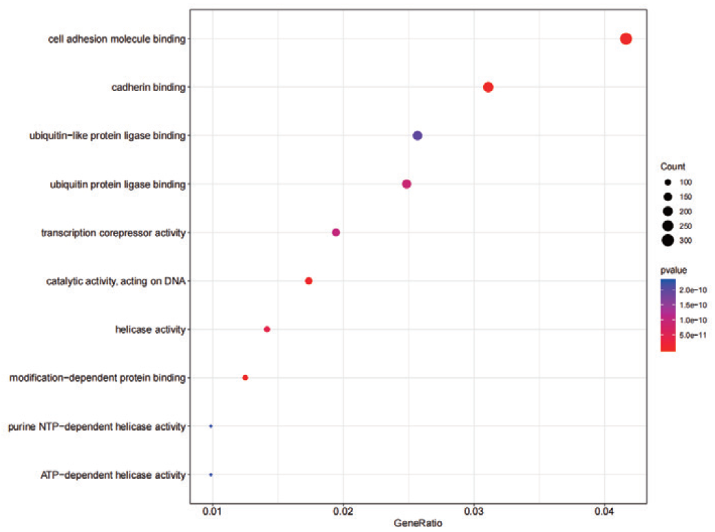 Guangzhou EPIBIOTEK Co., Ltd.