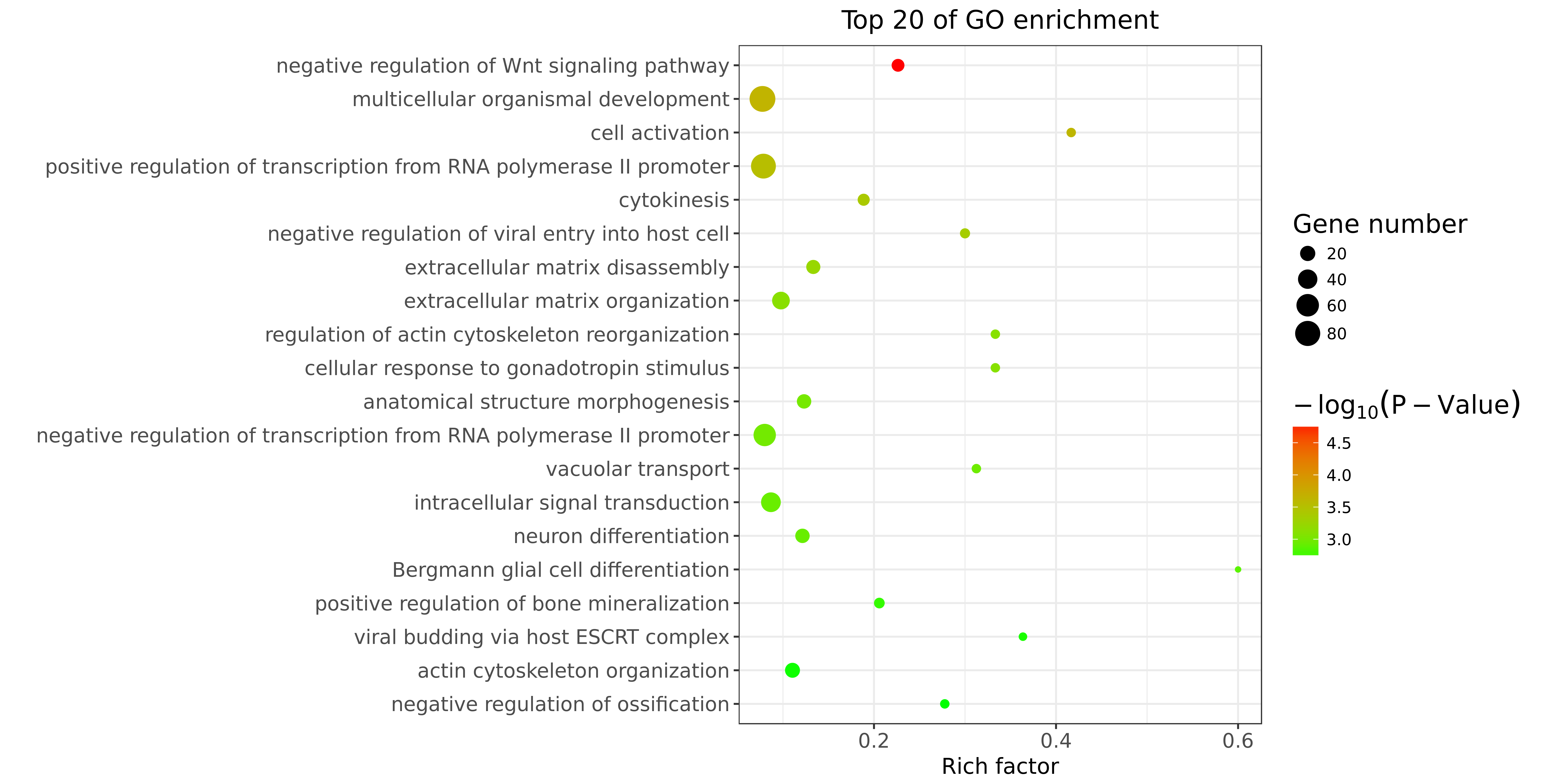 Guangzhou EPIBIOTEK Co., Ltd.