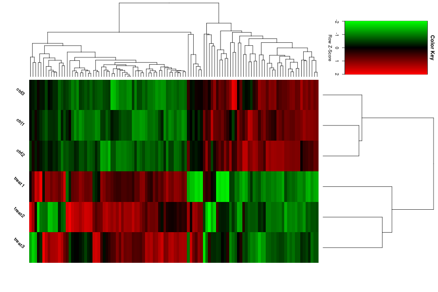 Guangzhou EPIBIOTEK Co., Ltd.