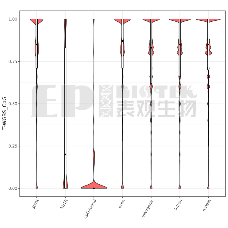 广州表观生物科技有限公司