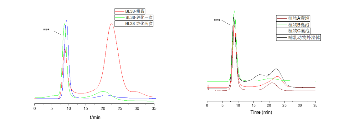 广州表观生物科技有限公司
