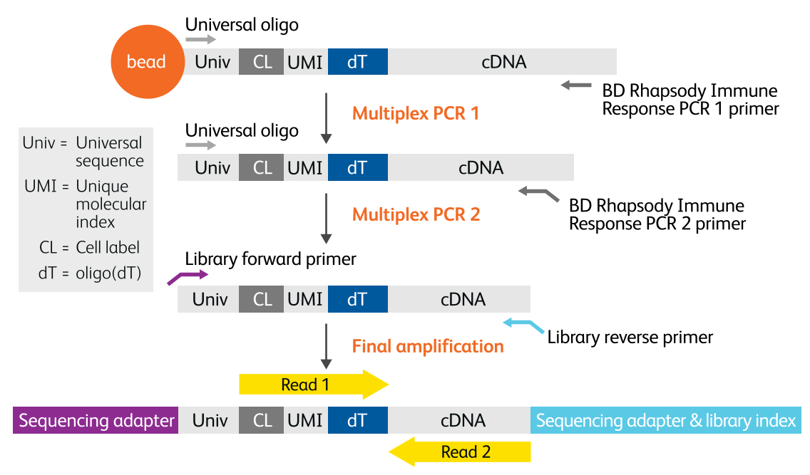 Guangzhou EPIBIOTEK Co., Ltd.