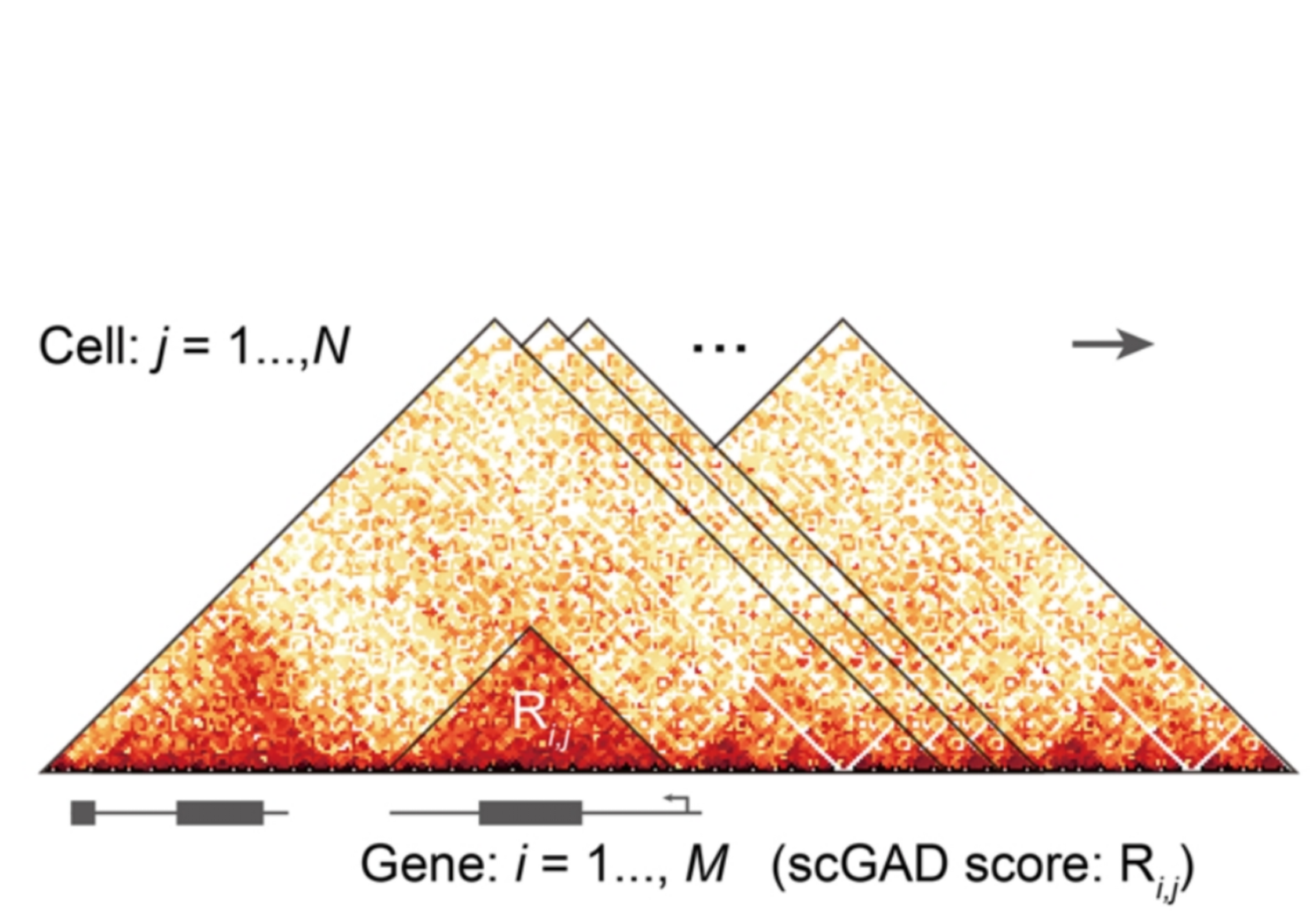 Guangzhou EPIBIOTEK Co., Ltd.